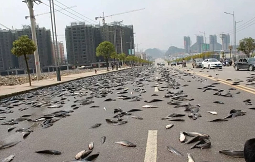 Техаст загасаар бороо оржээ