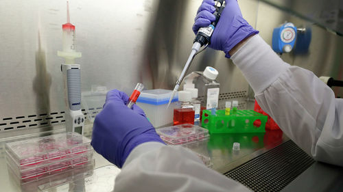 COVID-19: Японд насан туршийн дархлаа үүсгэх вакцин бүтээж байна