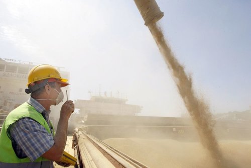 Оросын хүнсний экспорт түүхэн дээд амжилт тогтоожээ