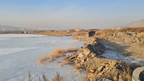 Үүссэн халиа дошинг цэвэрлэж байна