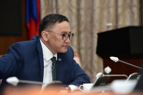 ДЭМБ-ын дархлаажуулалтын зөвлөлийн гишүүний илтгэлийг сонсов