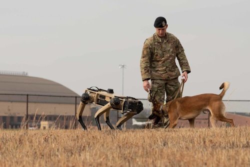 Америкийн хилийг робот нохой хамгаална