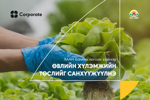 ХААН Банкны ногоон зээлээр өвлийн хүлэмжийн төслийг санхүүжүүлнэ