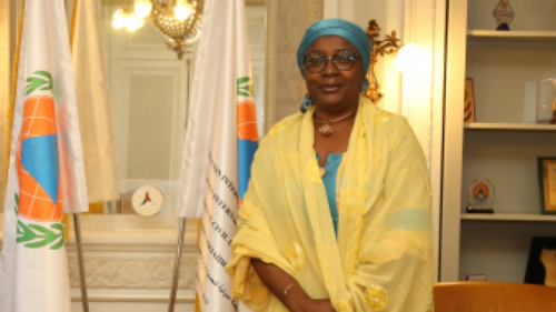 Олон улсын иргэний хамгаалалтын байгууллагын Ерөнхий нарийн бичгийн даргын илгээлт