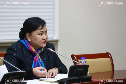 Хөшигийн хөндийд төр, хувийн хэвшлийн түншлэлээр хийж болох хамгийн том бүтээн байгуулалтыг босгоно