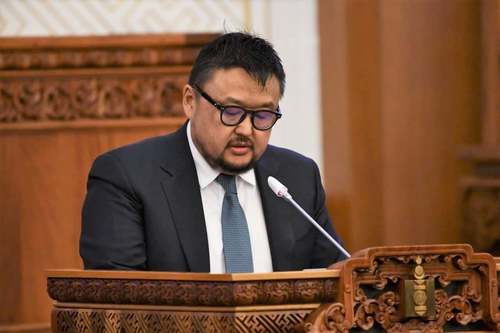 Беларусь улсаас сүүний чиглэлийн үхэр импортолж, нутагшуулахаар бэлтгэл хангаж байна