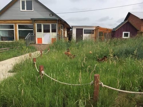 И.Анхбаяр: Амьдрах хамгийн тав тухтай орчин бол хашаа байшин