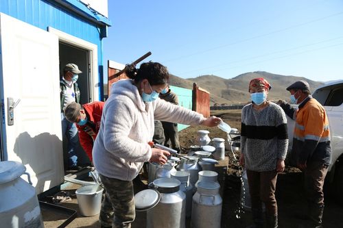 Малчдад 3.6 тэрбум төгрөгийн сүүний урамшуулал олголоо