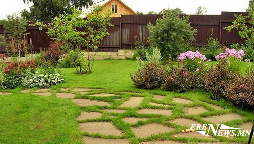 Тарьсан модоо хөрөнгө болгоё, түүнийг нь ТӨР ДЭМЖ