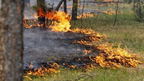 Он гарсаар 49 удаагийн ой, хээрийн гал түймэр бүртгэгджээ