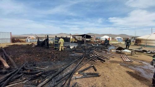 Шар өвс шатаасан 36 дуудлага бүртгэгджээ