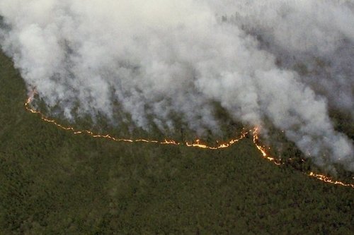 Сибирийн түймрийн улмаас 16 хүн амиа алджээ