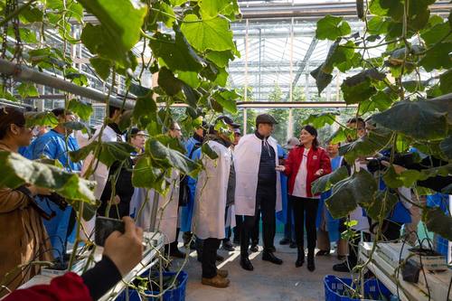 300 тэрбум төгрөгөөр 50 га талбайд хүлэмж барихад нийслэлчүүдийн хэрэгцээг бүрэн хангана