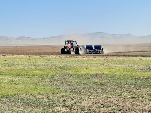 Үр тарианы тариалалт 57.8 хувьтай үргэлжилж байна