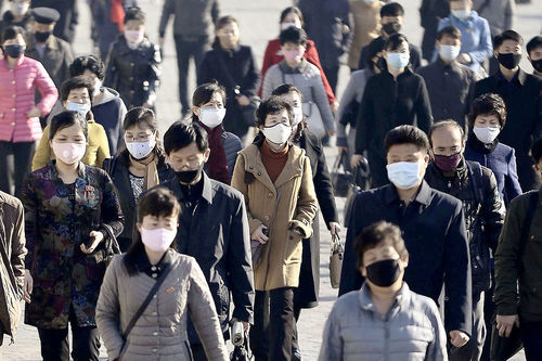 Хойд Солонгос хоногт 96 мянган халдварын тохиолдол илэрчээ