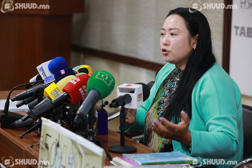 Ц.Бадамцэцэг: Монголын эрүүл мэндийн салбарын бодит байдлыг НҮБ-д илчилнэ