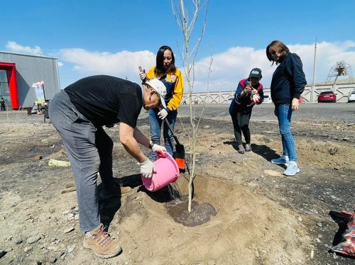 Тавантолгой түлш ХХК 