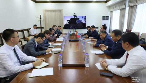 Монгол Узбекистан руу агаарын тээврээр мах нийлүүлэх санал тавьжээ