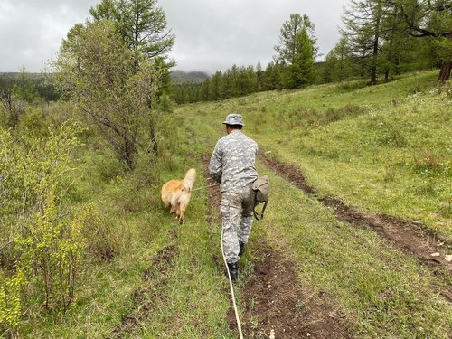 Эрэн хайх ажиллагааны дуудлагаар эрэлч нохой Коби ажиллалаа