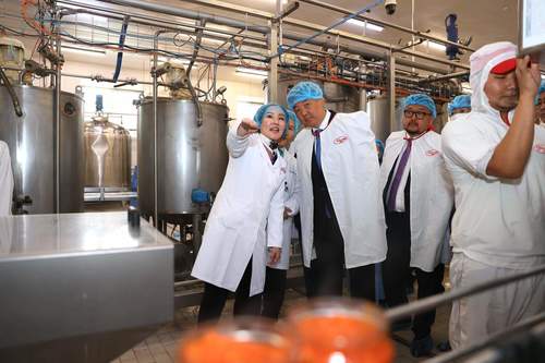 Эргэлтийн хөрөнгө, зээл, татварын бодлогоор дэмжвэл үндэсний ААН-үүд тогтвортой ажиллана