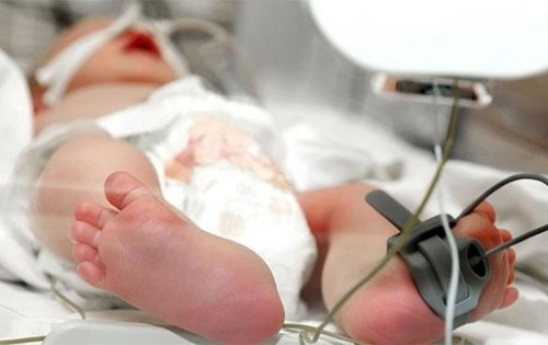 ШУУД: Нярайн шарлалтын тухай мэргэжлийн эмч ярьж байна