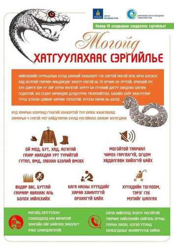 Сэрэмжлүүлэг: Нийслэлд бамбай хоншоорт могой орж иржээ