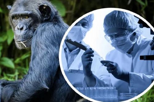 БНСУ-д бүртгэгдсэн сармагчны цэцэг өвчинд Монгол бэлэн үү