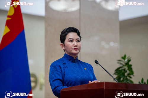 Консул, Элчин сайдын томилгоог Б.Батцэцэг сайд шийднэ