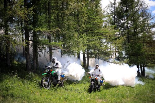 Нийслэлийн ногоон бүсэд хортон шавж устгалын бодис цацаж байна