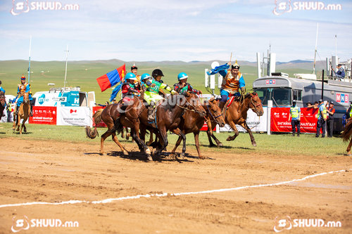Хязаалан: Сэлэнгэ аймгийн Д.Одхүүгийн зээрд үрээ түрүүллээ