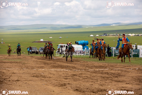 Азарга: Б.Нямжавын хээр азарга түрүүллээ