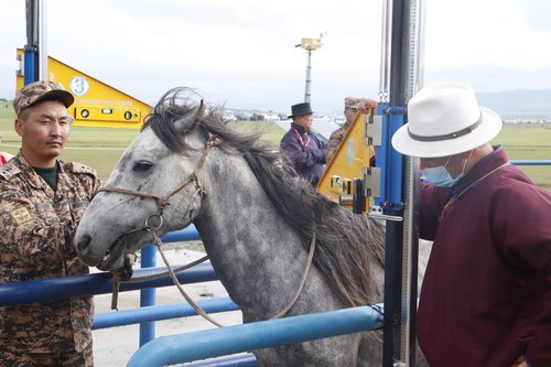 Азарга: Сэрвээний өндрийг хэмжиж байна