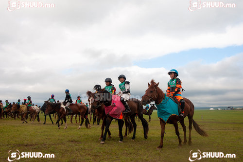 Сэрвээний өндрийн стандартыг хангасан 202 азарга гарааны зурхай руу хөдөллөө