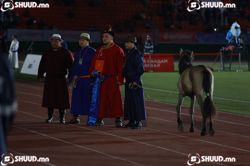 Залуу начин Э.Батмагнайд хурдан удмын даага бэлэглэлээ