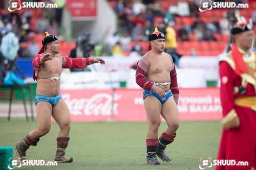 Улсын Харцага цолны болзол хангасан бөхчүүд