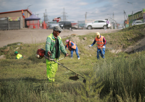 1952 тонн шарилж, хог ургамлыг тайрч, цэвэрлэлээ
