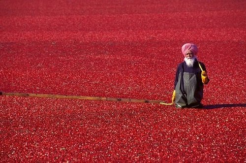 ФОТО: Хүмүүс амин зуулгаа залгуулдаг хамгийн ӨВӨРМӨЦ 11 АЖИЛ