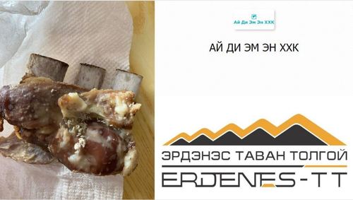 Б.Төгсбаяр: Хятадын IDMN компани уурхайн ажилчдыг өттэй махаар хооллож байна