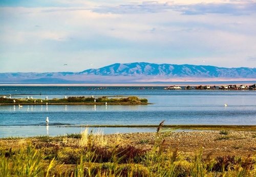 Увс нуурын эрэг орчмын зургаан тонн хогийг цэвэрлэжээ