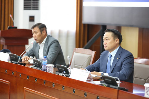 Д.Амарбаясгалан: Төр аливаа төрлийн бизнес эрхлэхээс татгалзана