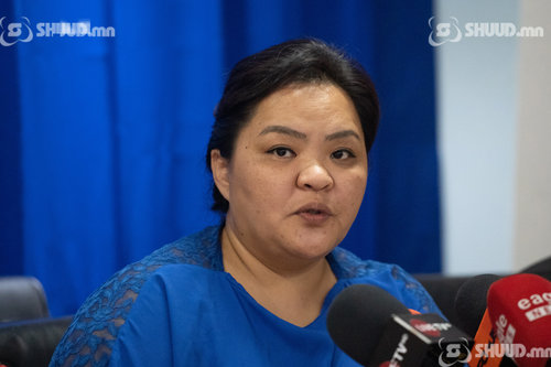 Т.Туяажаргал: Бидний асуудалд 'Тал еэвэнгийн үлгэр' мэт ханддаг