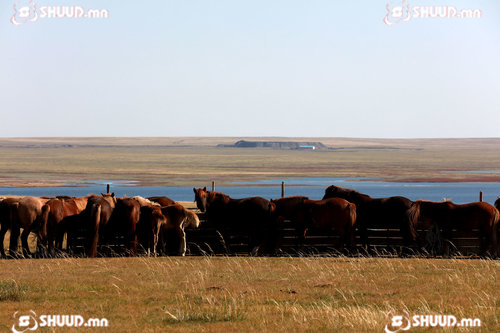 Адуундаа яваад сураггүй болсон иргэнийг есөн өдөр хайсан ч олсонгүй
