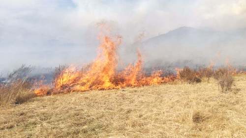 Хил давсан түймэрт 7600 га талбай шатаад байна