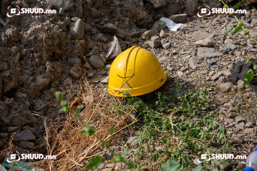 Иргэд ногоон байгууламжаа авч үлдэхийн тулд жижүүрлэн хонож байна