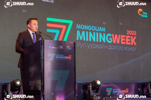 Д.Амарбаясгалан: Төр хөрөнгө оруулагчид, хувийн хэвшлээ дарамталдаг байж болохгүй