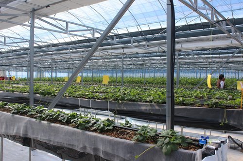 Жаргалант тосгонд ухаалаг хүлэмжийг нэвтрүүлжээ