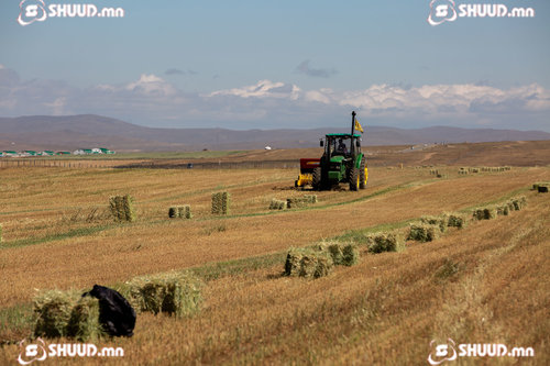 ФОТО: Намрын өнгө
