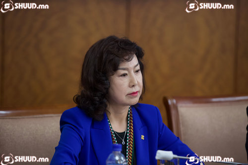 Д.Сарангэрэлийн нэрийг цэвэрлэх ЗГХЭГ-ын төлөвлөгөө