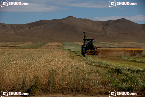 Улаанбаатарт 16 хэм дулаан байна