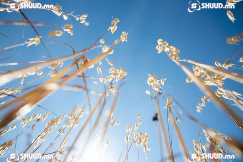 Улаанбаатарт 8 хэм дулаан байна